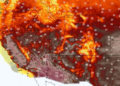I nxehtë ekstrem: Temperaturat në Amerikën Perëndimore afër 50 °C