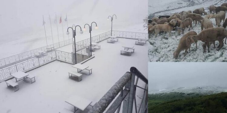 “Dimër në verë” – Reshje bore në fshatrat e Dragashit