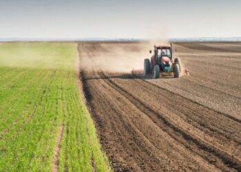 Fillon ekzekutimi i pagesave të subvencioneve për fermerët