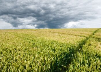 Zviceranët, kombi i parë evropian që synon të ndalojë pesticidet