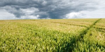 Zviceranët, kombi i parë evropian që synon të ndalojë pesticidet