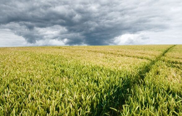 Zviceranët, kombi i parë evropian që synon të ndalojë pesticidet