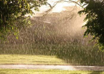 Moti për sot dhe ditët në vijim