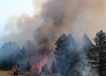 MINISTRIA E BRENDSHME APEL QYTETARËVE PËR KUJDES!