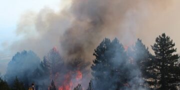 MINISTRIA E BRENDSHME APEL QYTETARËVE PËR KUJDES!