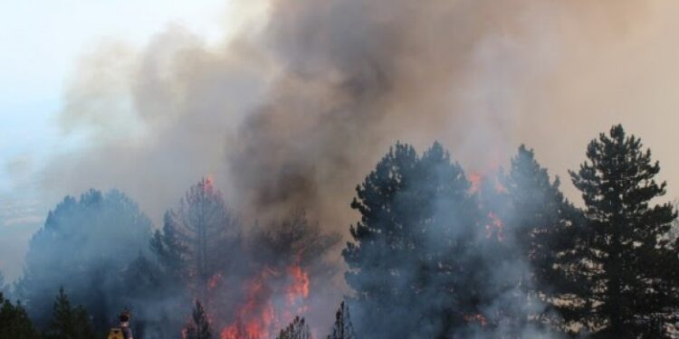 MINISTRIA E BRENDSHME APEL QYTETARËVE PËR KUJDES!