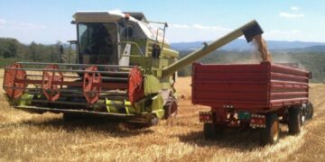 Bujku në Prizren rrah shoferin e kombajnës pasi që nuk ia korri grurin