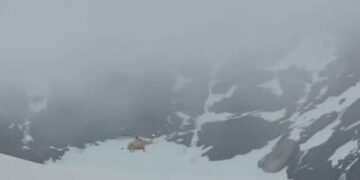 Tragjedi në Alpe, dy gra ngrijnë për së gjalli në mbi 4.000 metra lartësi mbidetare