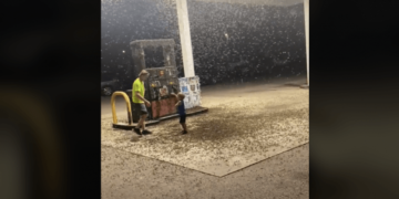 Një pikë karburanti mbulohet prej ‘miliona’ insekteve