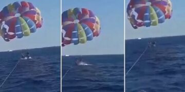 Momenti kur peshkaqeni hidhet dhe kafshon parashutistin në këmbë