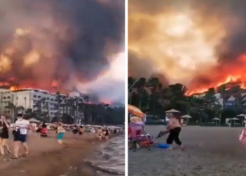 Zjarret apokaliptike në Turqi, shihni si çohen të tmerruar pushuesit e resortit nga plazhi (Video)