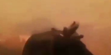 Turqi: Fermeri i rrethuar nga zjarri qan dhe kërkon ndihmë nga Zoti