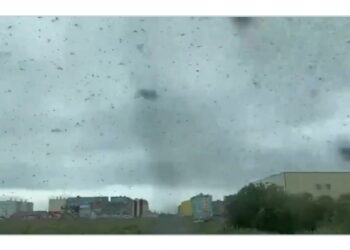 ”Tornado” mushkonjash në Rusi!