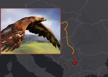 I vendosin GPS për t’ia parë lëvizjet, Skifteri i famshëm zgjedh Kosovën si “shtëpi”