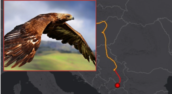 I vendosin GPS për t’ia parë lëvizjet, Skifteri i famshëm zgjedh Kosovën si “shtëpi”