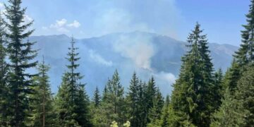 Zjarr në malet e Rugovës – intervenon Policia, FSK dhe KFOR’i!