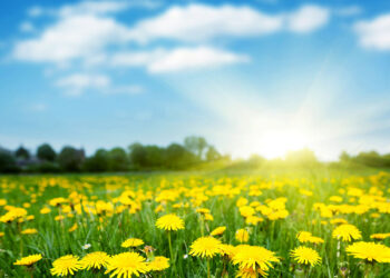 Moti nesër dhe ditëve në vazhdim! (07.07.2021.) E Mërkurë