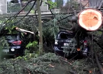 Shi i madh në Zvicër, stuhia bllokon rrugë e dëmton vetura në Cyrih