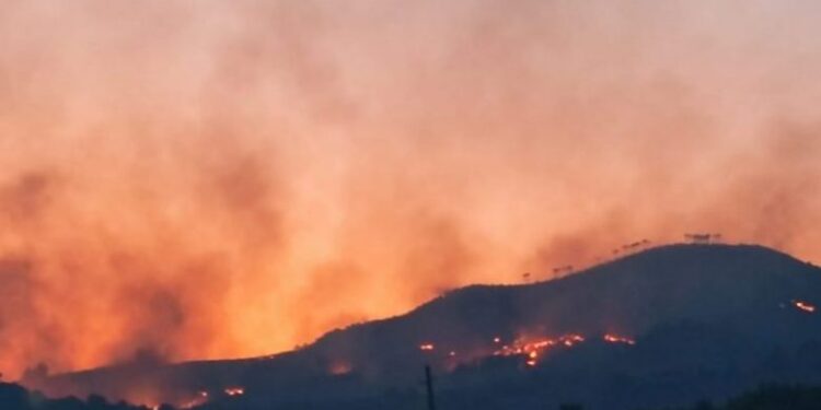 8 vatra zjarri në Shqipëri, rëndohet situata