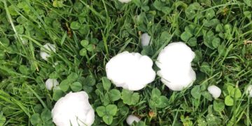 Breshër i madh në disa vise, dëme të mëdha në pemëtari! (Video)