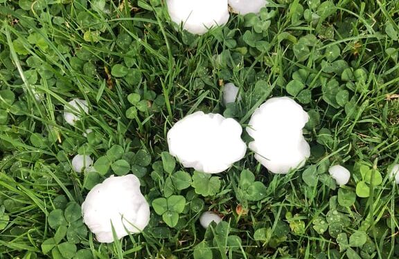 Breshër i madh në disa vise, dëme të mëdha në pemëtari! (Video)