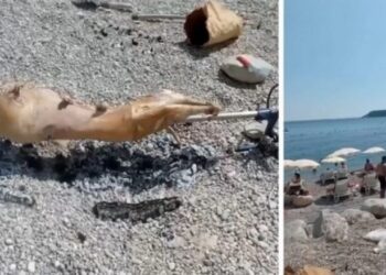 Ndodh edhe kjo: Në një plazh në Mal të Zi dikush pjek një qengj