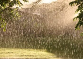 Moti për sot dhe ditët në vijim