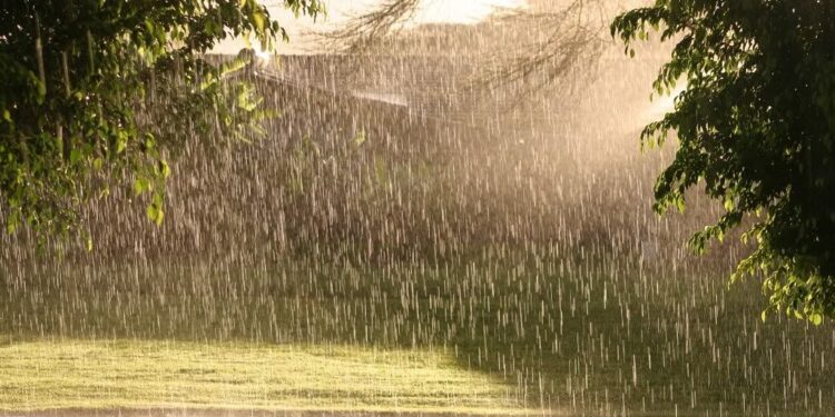 Moti për sot dhe ditët në vijim