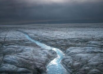 Për herë të parë në histori bie shi në një pjesë të Grenlandës