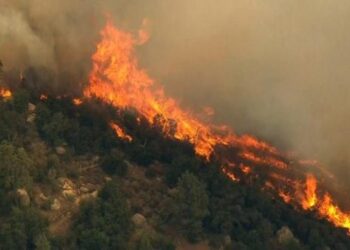 Zjarri në Kukës, Kosova i del në ndihmë me forca të ushtrisë dhe zjarrfikëse!