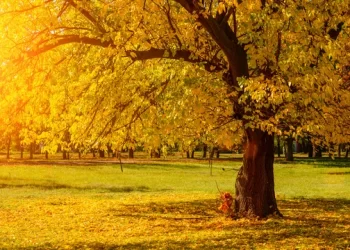 Moti nesër dhe ditëve në vazhdim! (24.09.2021.) E Premte