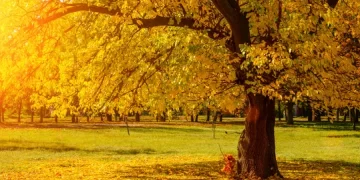 Moti nesër dhe ditëve në vazhdim! (24.09.2021.) E Premte