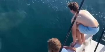 Momenti kur i riu kërcen mbi “shpinë” të peshkaqenit, video bëhet virale