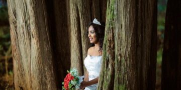 Mbi 70 gra ‘martohen’ me pemët në Mbretërinë e Bashkuar për t’i shpëtuar nga shpyllëzimi