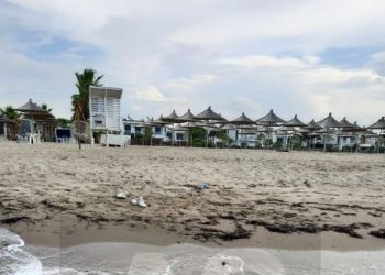 Durrës, gjendet e ngordhur breshka e rrallë