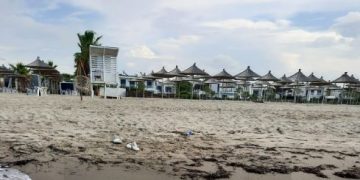 Durrës, gjendet e ngordhur breshka e rrallë