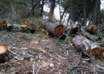 Vdes 18 vjeçari kosovar, i ra lisi në kokë