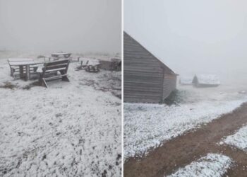 Bie bora e parë në Kosovë