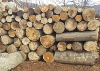 Rritet edhe çmimi i druve në Kosovë