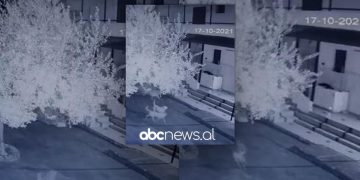 Qeni e ndjeu pak sekonda më herët, momenti kur tërmeti “shkundi” Shqipërinë