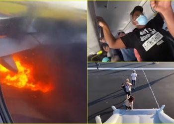 Motori i aeroplanit shpërthn në zjarr, pasi godit një zog të madh gjatë ngritjes