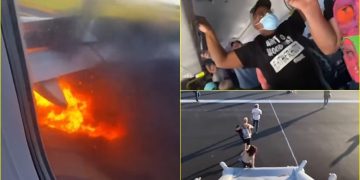 Motori i aeroplanit shpërthn në zjarr, pasi godit një zog të madh gjatë ngritjes