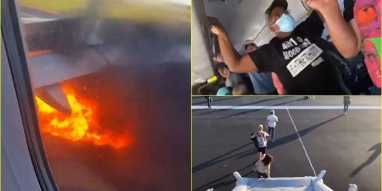 Motori i aeroplanit shpërthn në zjarr, pasi godit një zog të madh gjatë ngritjes