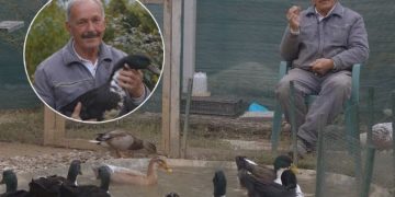 Kosovari i cili i përgatit shotat për gara luftarake