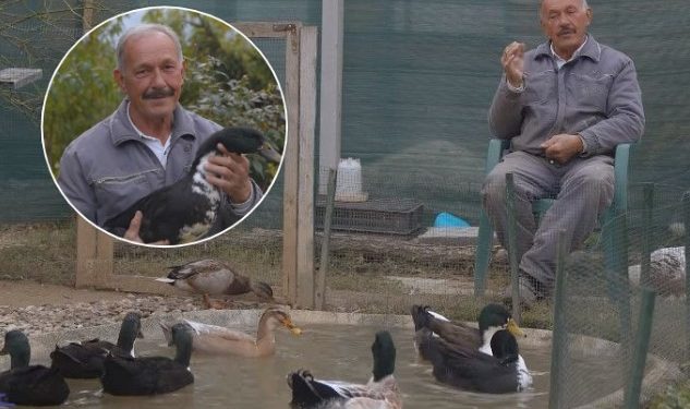 Kosovari i cili i përgatit shotat për gara luftarake