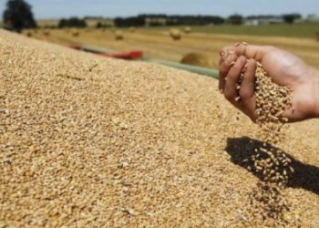 Shtrenjtohet edhe gruri në Kosovë