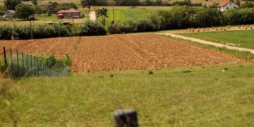 Qytetari dhuron 10,000m2 tokë për njerëzit në nevojë