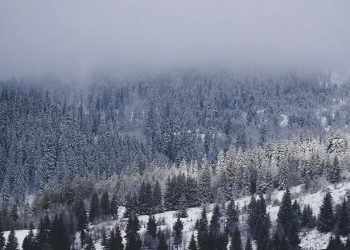 Moti për ditën e sotme, fjolla bore në viset malore