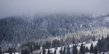 Moti për ditën e sotme, fjolla bore në viset malore