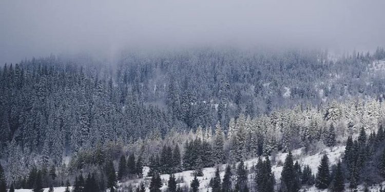 Moti për ditën e sotme, fjolla bore në viset malore